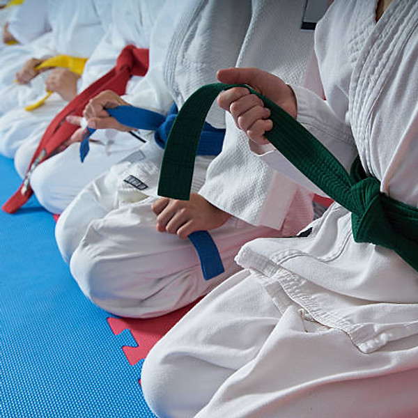 Taekwondo coloured belts